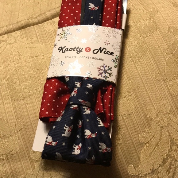 Knotty & Nice bowtie and pocket square set. - Picture 3 of 4